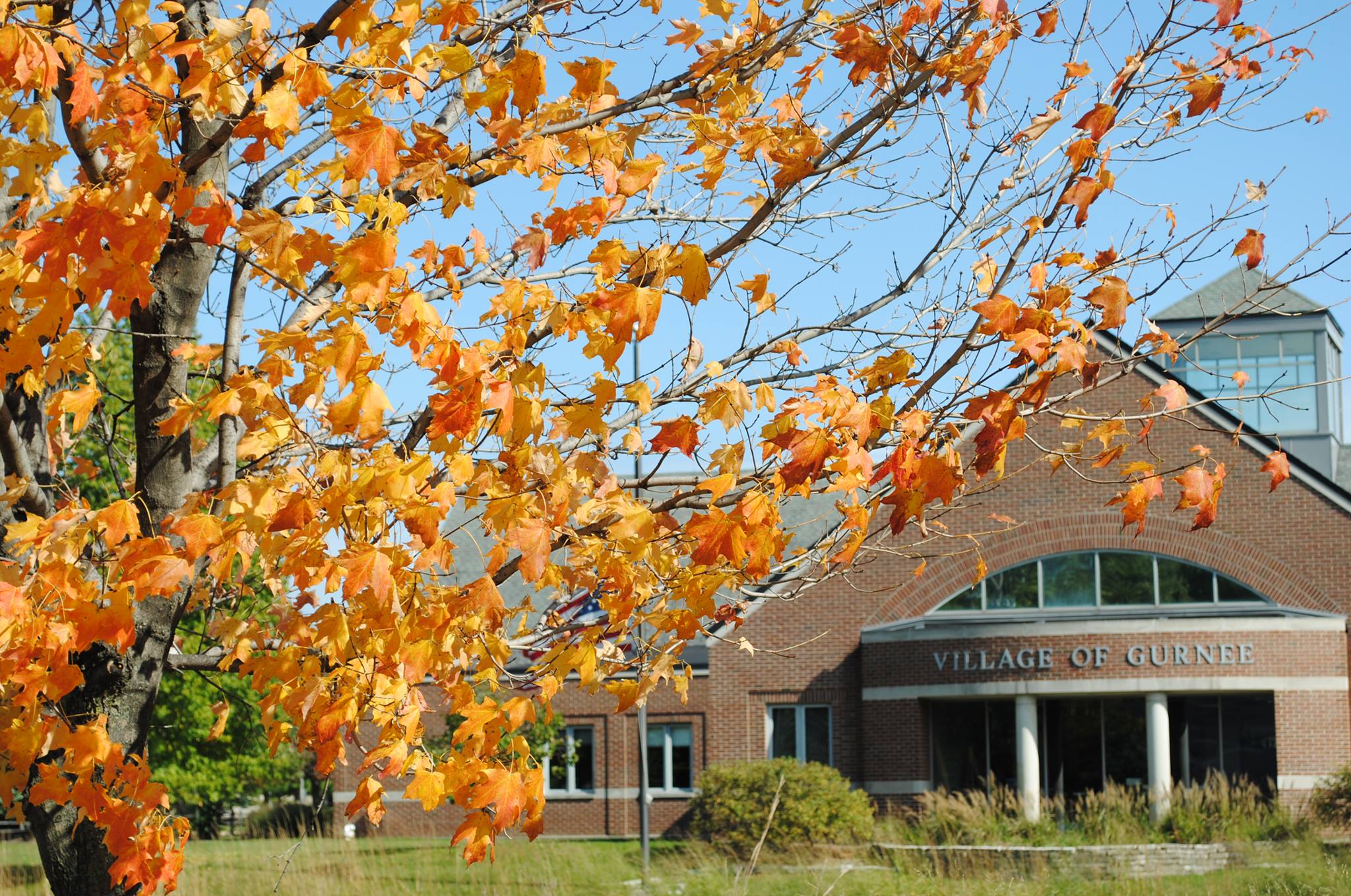 Lake County Landscape